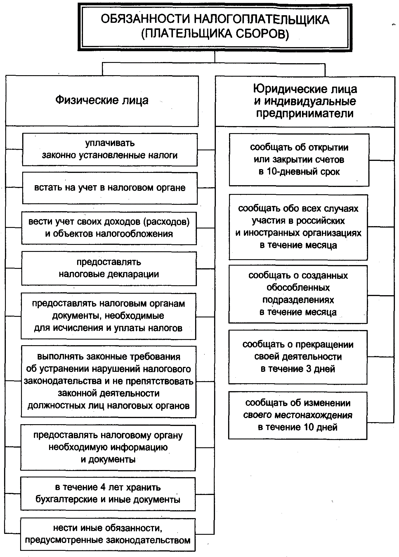 Схема структуры налогоплательщика. Налоговое состояние организации