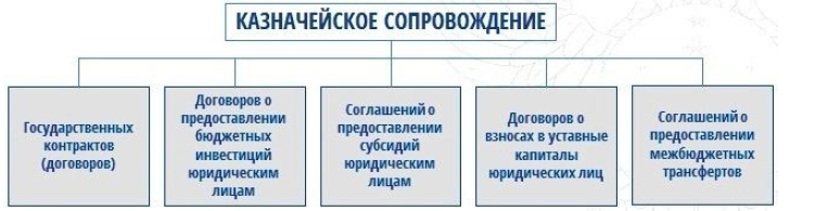 Казначейское сопровождение схема