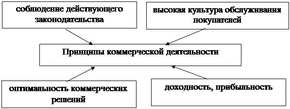 Принципы коммерческой деятельности. Принципы деятельности коммерческих предприятий. Принципы организации коммерческой деятельности. Принципы управления коммерческой деятельностью.