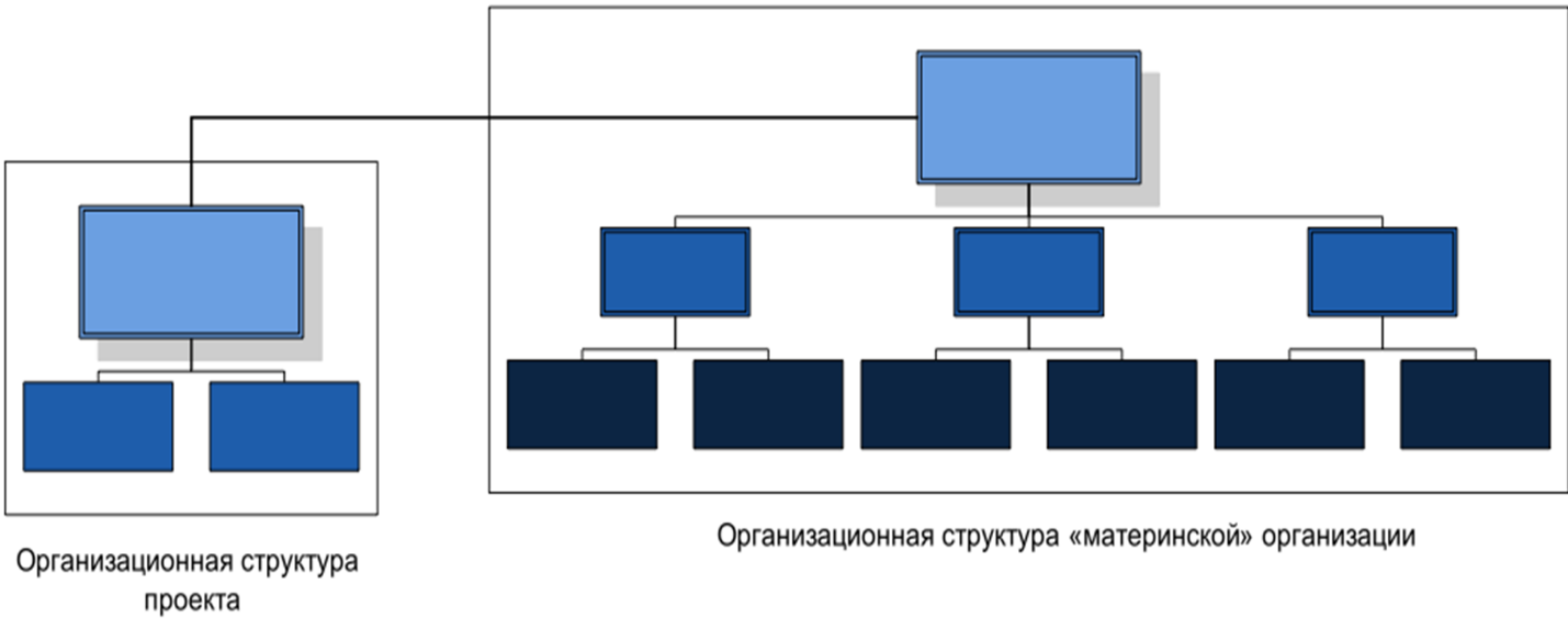 Организационная структура материнской организации