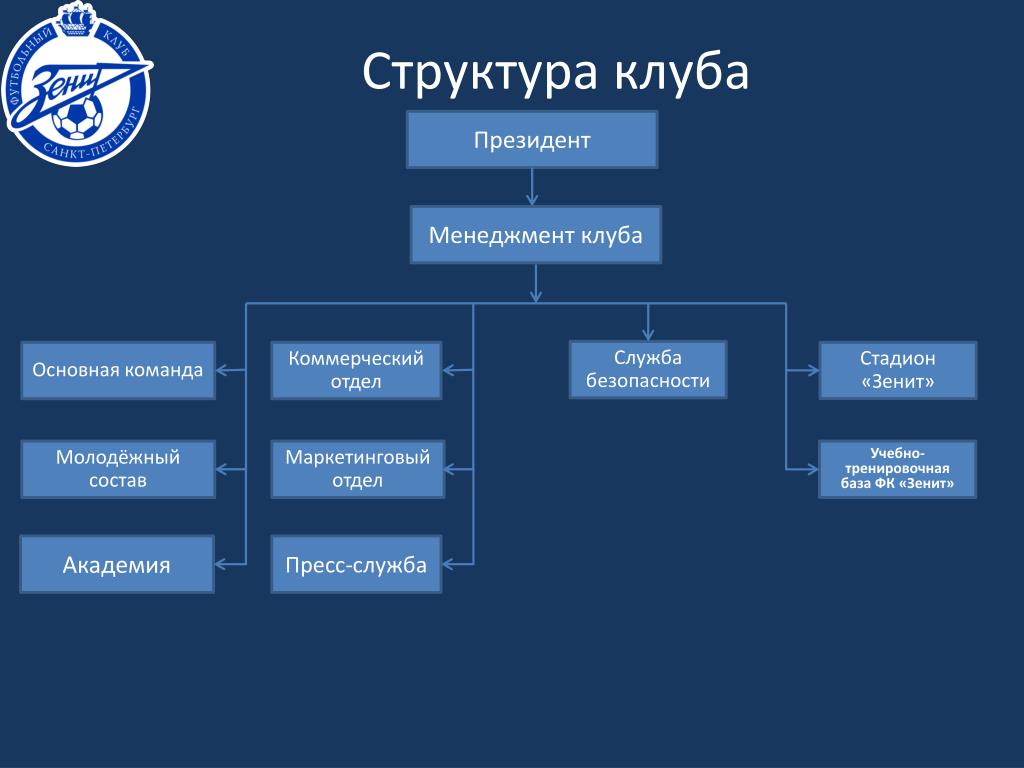 Структура спортивной команды схема