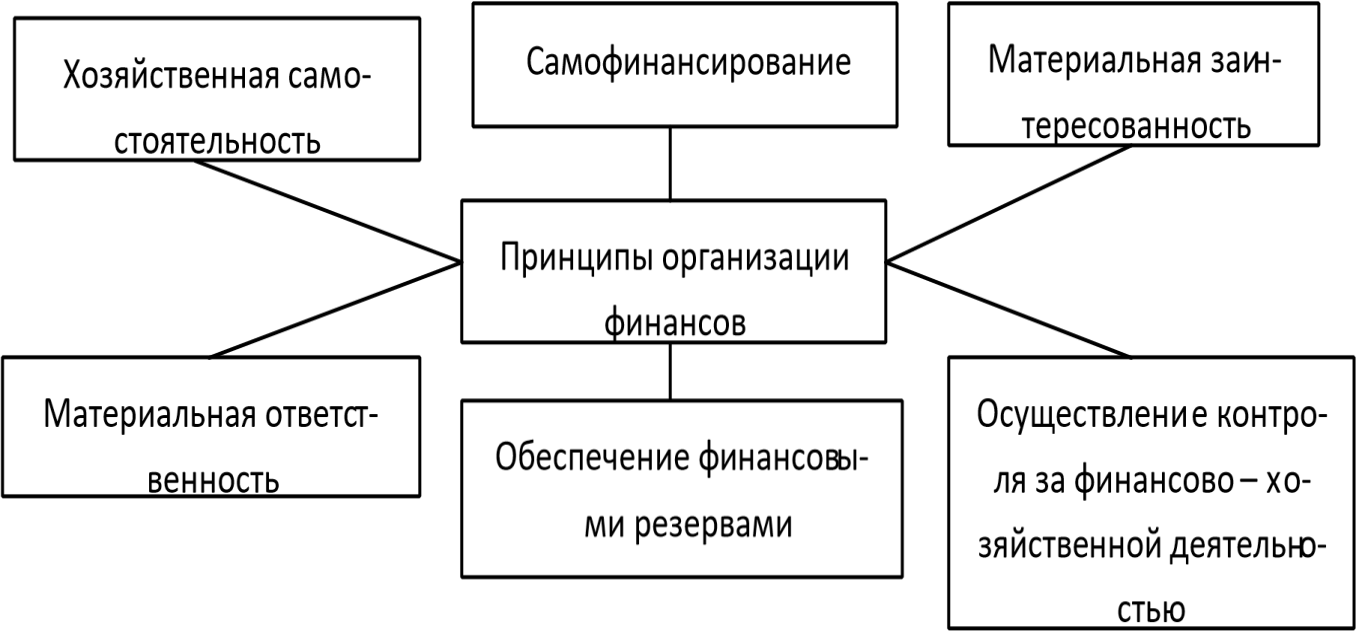 Функции коммерческой организации