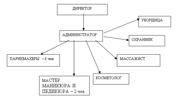 Схема организационной структуры салона красоты