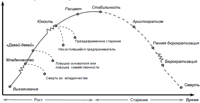 http://ekonomika.snauka.ru/wp-content/uploads/2014/12/Stadii-razvitiya-organizatsii-I.-Adizesa.png