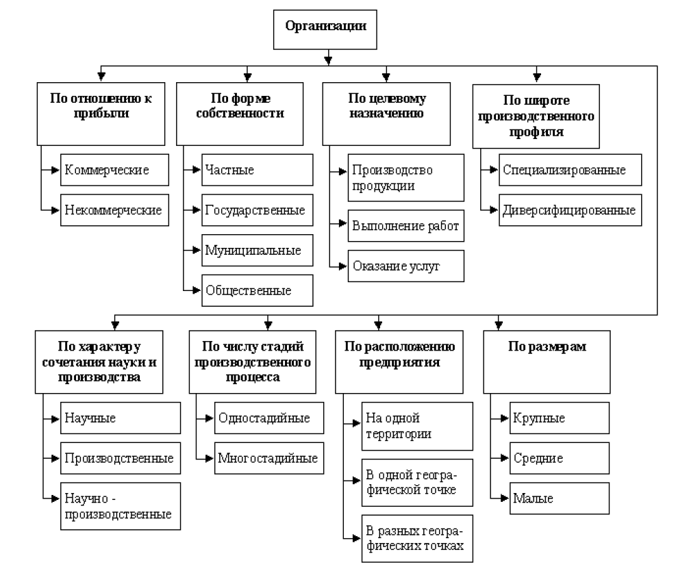 Организация ее виды и формы