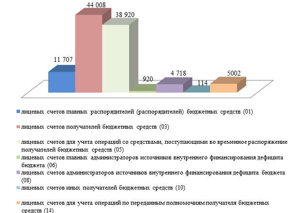 Дипломная работа: Проблемы и пути совершенствования казначейского контроля в бюджетной системе РФ