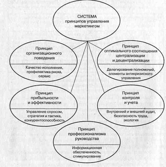 Курсовая работа: Разработка организационных основ функционирования системы маркетинга предприятия