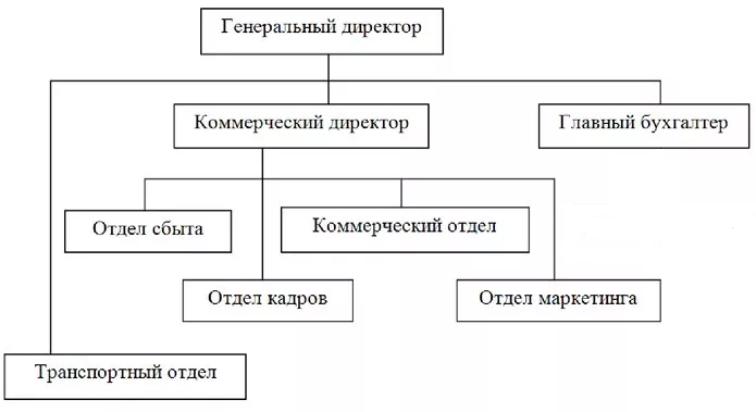 Центральное коммерческое управление. Структура управления. Структура коммерческого предприятия. Структура управления коммерческой организации. Структура коммерческого отдела.
