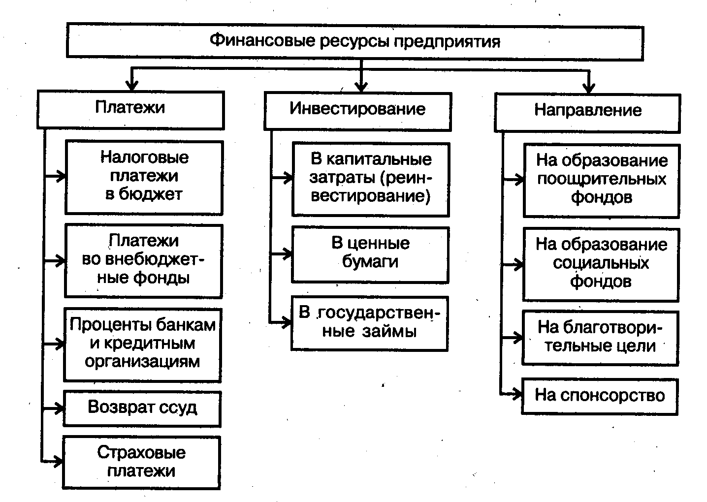 Предназначенные для экономической деятельности материальные проекты и денежные ресурсы