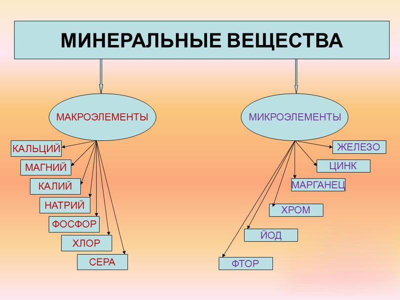 Минеральные вещества вода тест