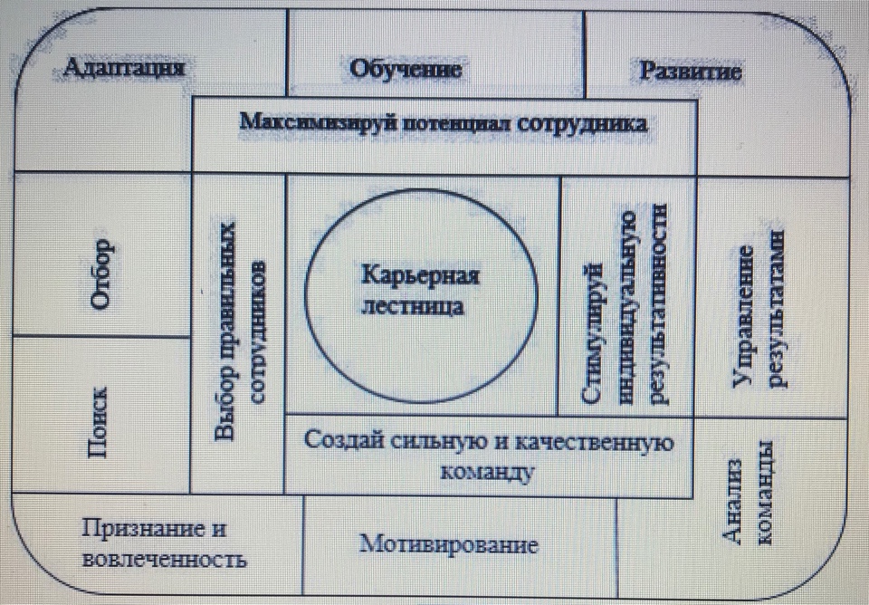 Курсовая Работа Nike