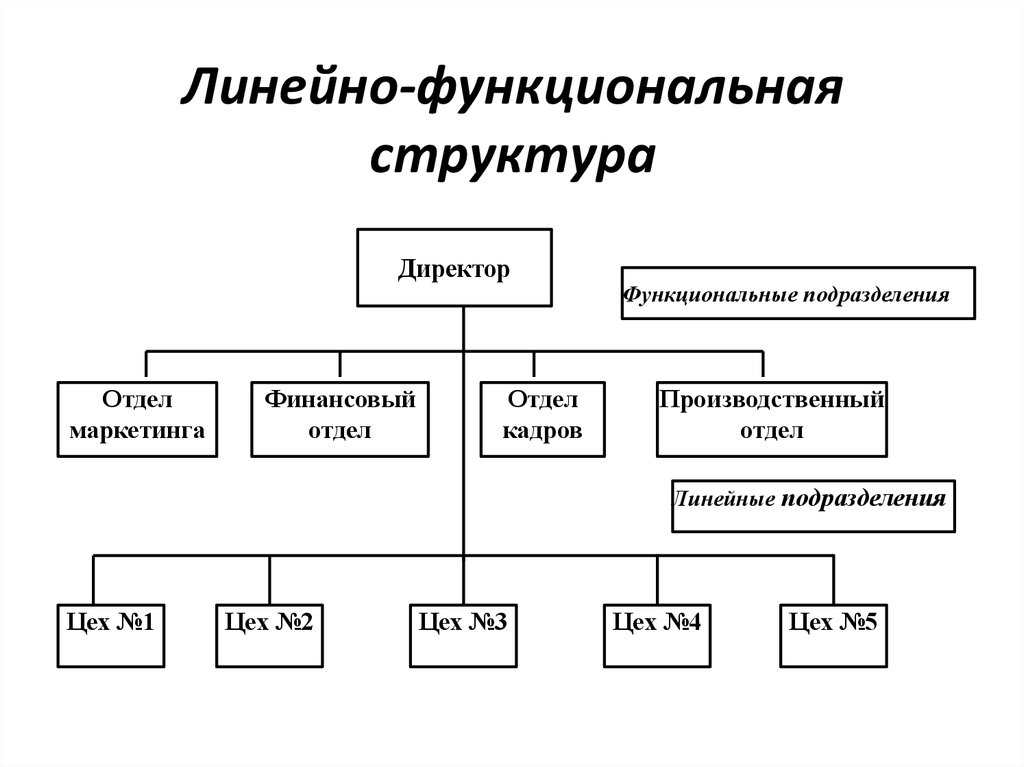Можно ли в организационной схеме назначить двух руководителей в один отдел
