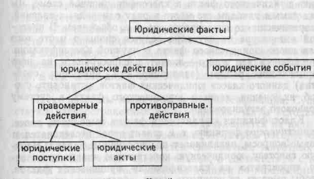 Курсовая работа: Юридические факты в механизме правового регулирования 2