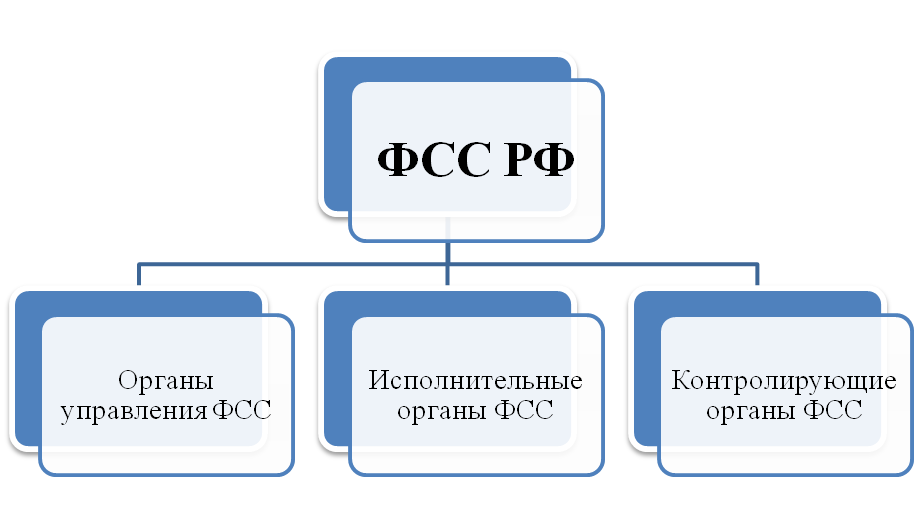 Фонд социального страхования структура. Фонд социального страхования структура