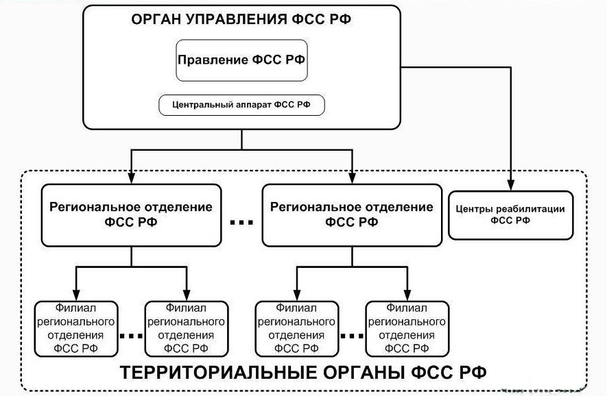 Схема основных источников формирования средств и направления средств пфр фсс фомс