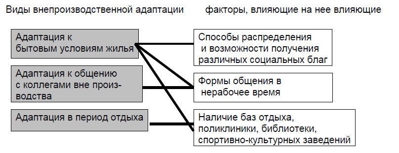 Адаптация курсовая работа. Адаптация курсовая работа