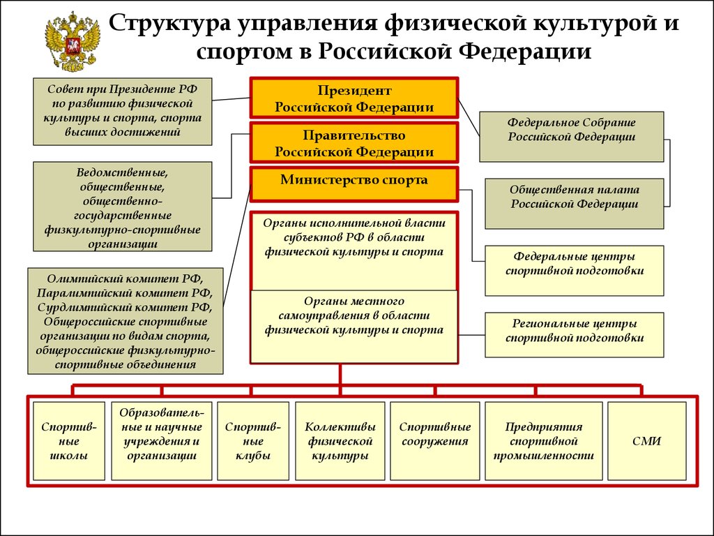 Какая государственная организация занимается. Структура управления физической культурой и спортом в РФ схема. Структура органов управления физической культурой и спортом в РФ. Схема государственного управления физической культурой и спортом РФ. Структура управления физической культурой и спортом в РФ 2022.