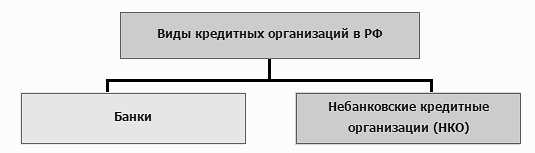 Курсовая работа: Небанковские кредитные организации