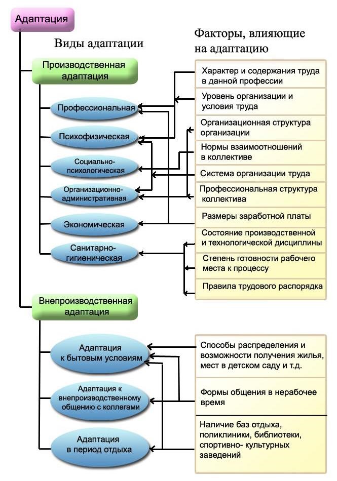 В схему организации работы по поиску отбору и адаптации персонала входят следующие действия