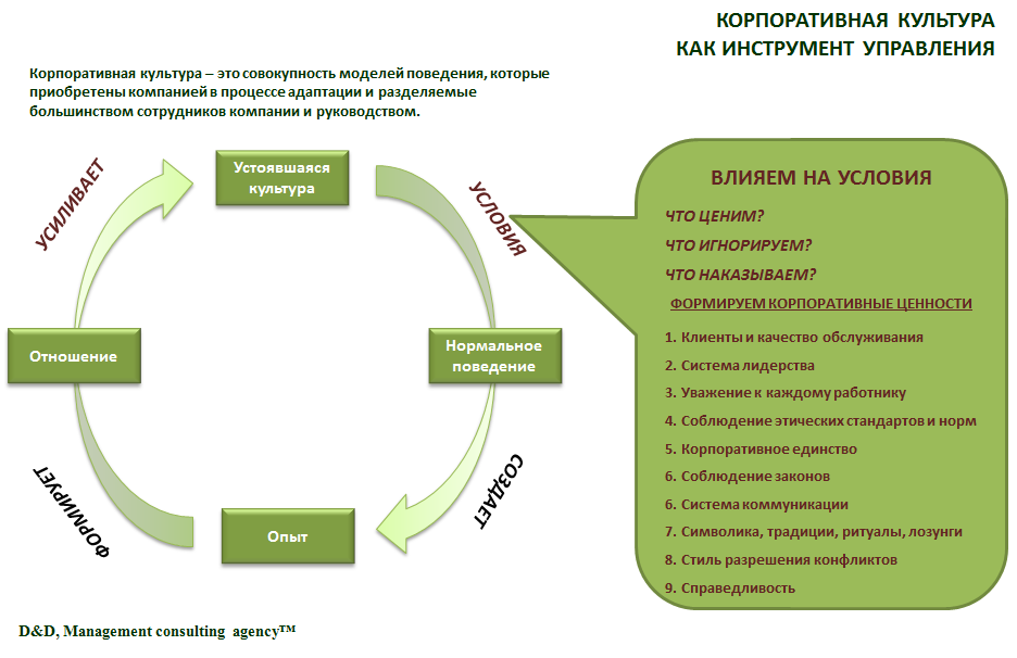 План развития корпоративной культуры в компании
