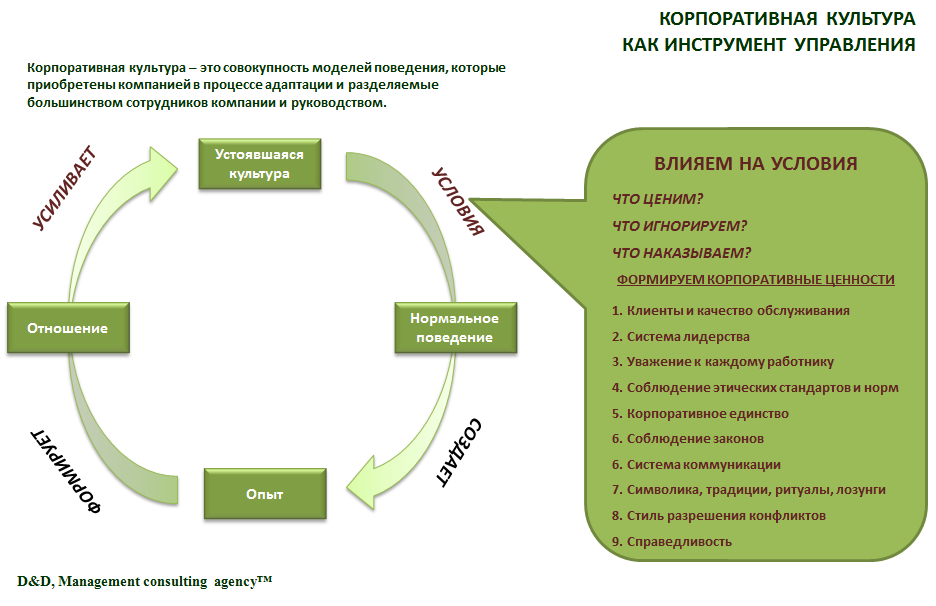 Менеджмент организаций культуры