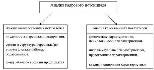 Курсовая работа по теме Анализ кадрового потенциала организации