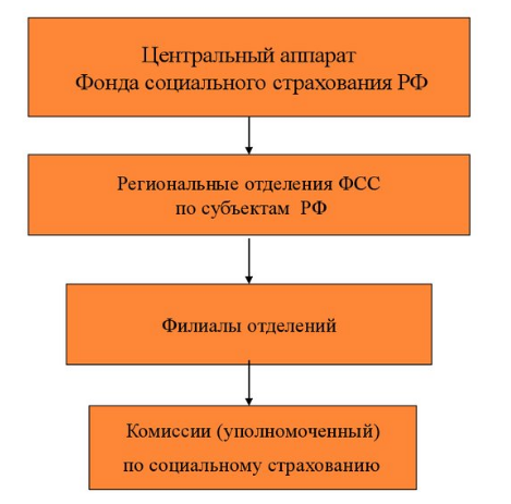 Курсовая работа: Фонд социального страхования Российской Федерации 2 2