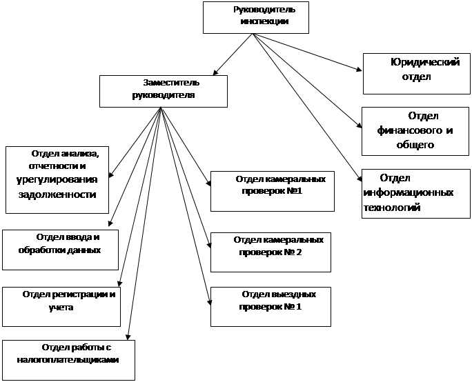 Фнс структура схема