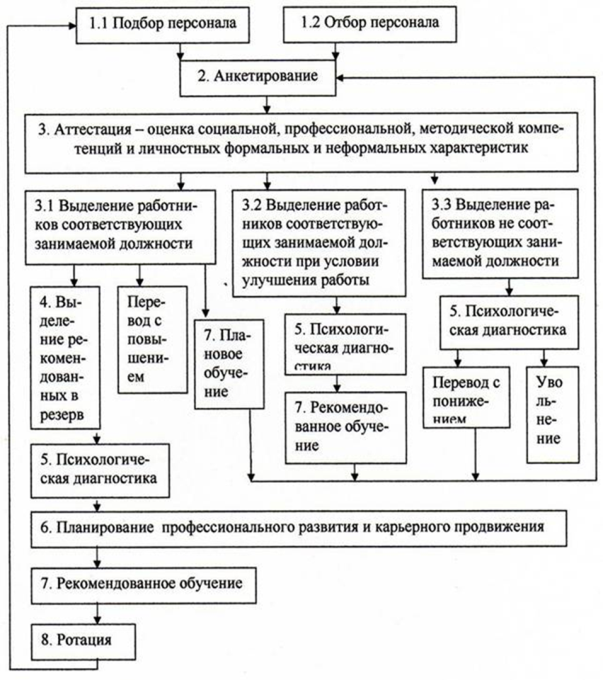 Система развития сотрудников. Этапы развития управление персоналом организации. процесс развития персонала. этапы управления профессиональным развитием персонала. процесс развития персонала в организации.