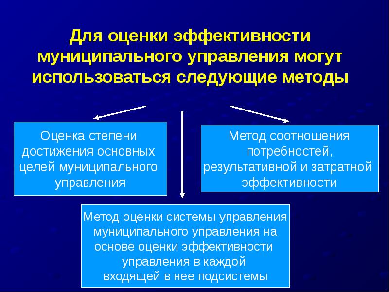 Муниципальные и государственные инициативы по повышению эффективности управления