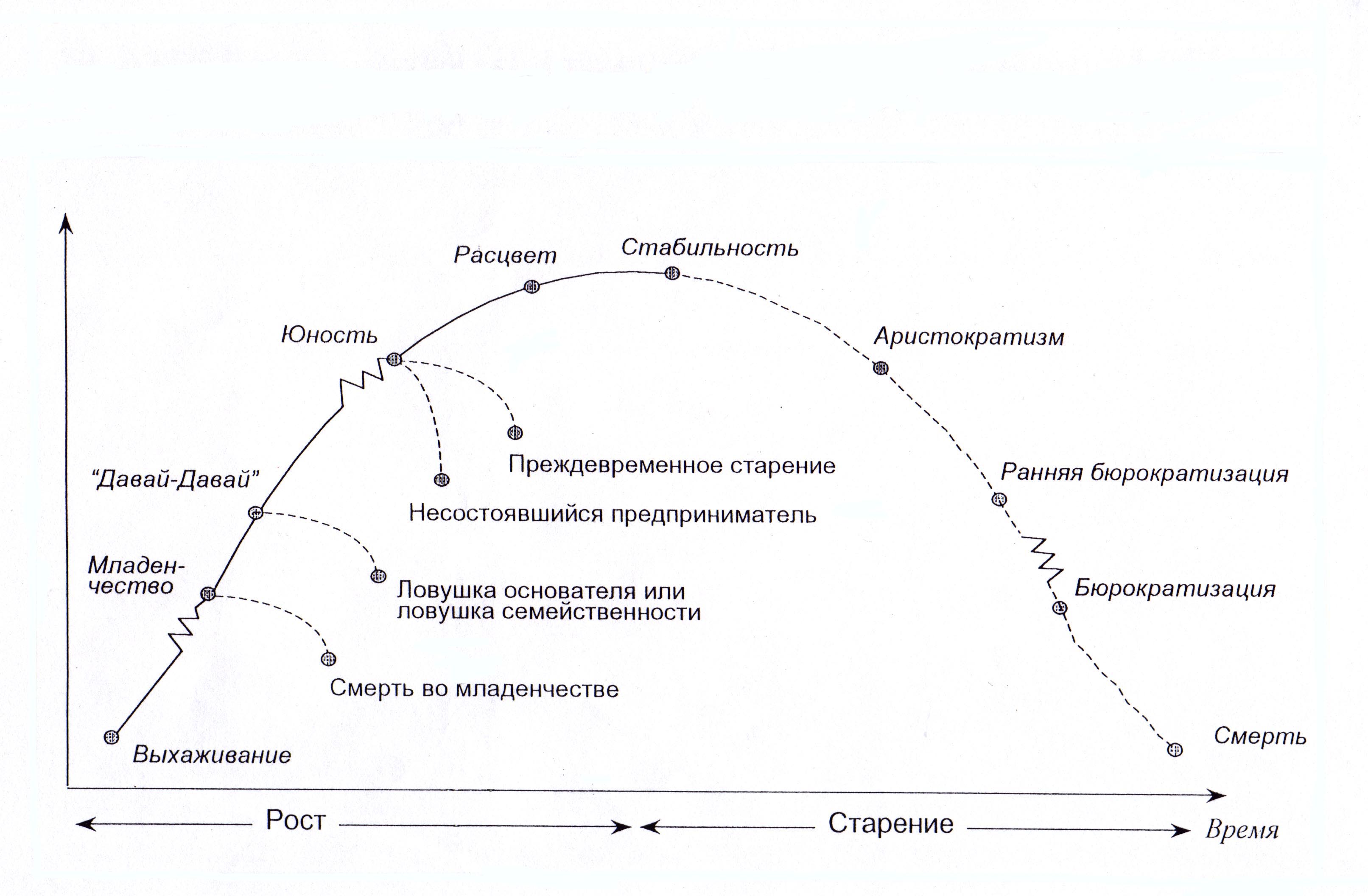 Организация ее жизненный цикл. Ицхак Адизес модель жизненного цикла. Модель жизненного цикла организации Ицхака Адизеса. Ицхак Адизес жизненный цикл организации. Теория жизненного цикла организации по Адизесу.