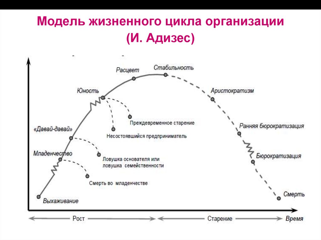 Жизненный цикл проблемы. Жизненного цикла организации (ЖЦО). Ицхака Адизеса "жизненный цикл организации". Модель жизненного цикла Адизеса. Модель жизненного цикла Адизеса и Грейнера.