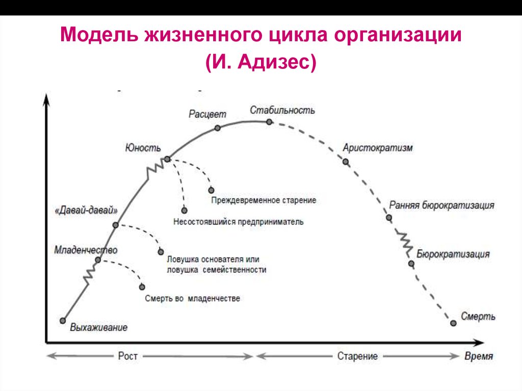 Определите особенности жизненного цикла