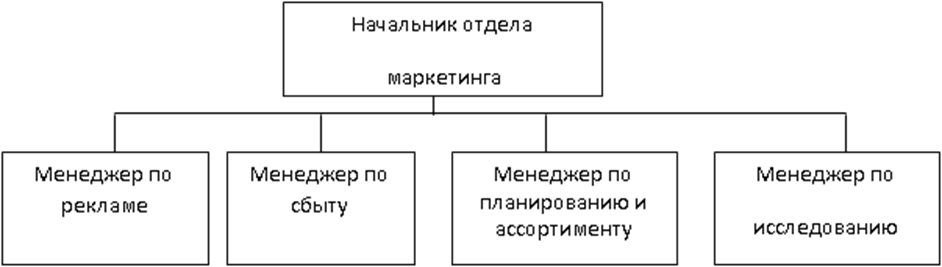 Маркетинговый план курсовая