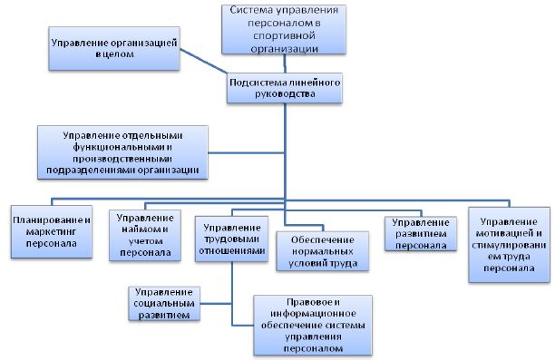 Рекомендации по организации спортивных организаций. Персонал-менеджмент в физкультурно-спортивной организации. Управление спортивной организацией. Подсистема линейного руководства. Категории персонала в спортивной организации.