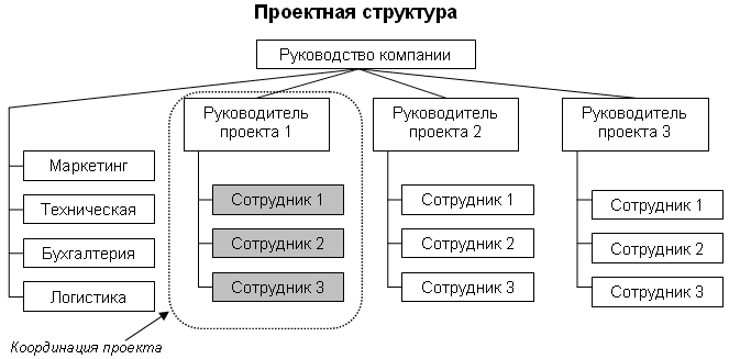 Организационно управленческая структура проекта