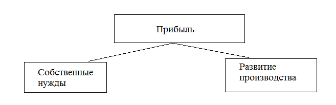 Стоимость Предприятия Курсовая