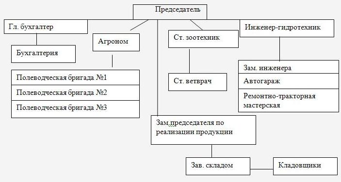 Организационная структура сельскохозяйственного предприятия схема