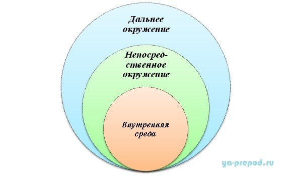 Курсовая работа: Организация и ее деловая среда