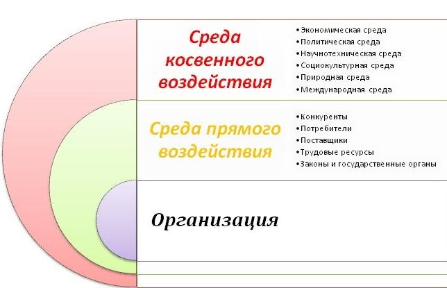 Курсовая работа: Организация и ее деловая среда