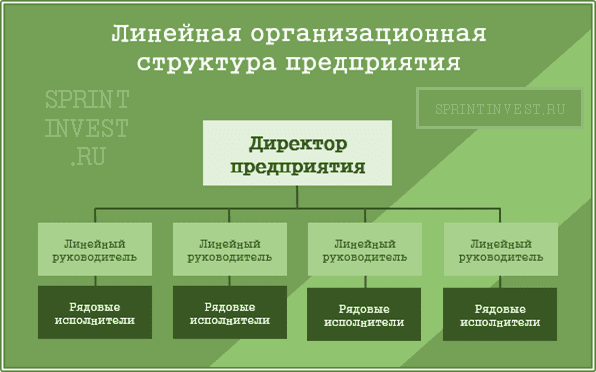 Линейная организационная структура предприятия