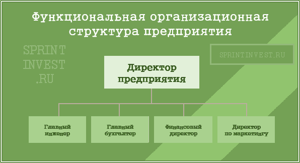 Функциональная организационная структура предприятия