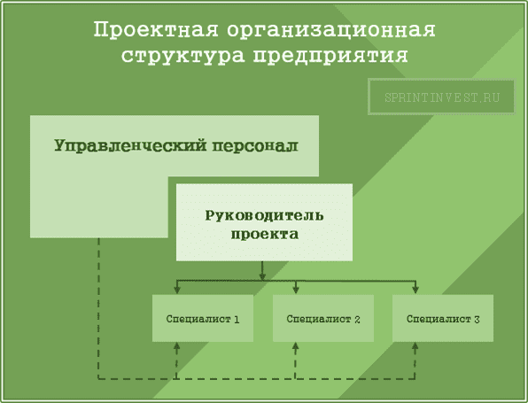 Проектная организационная структура предприятия