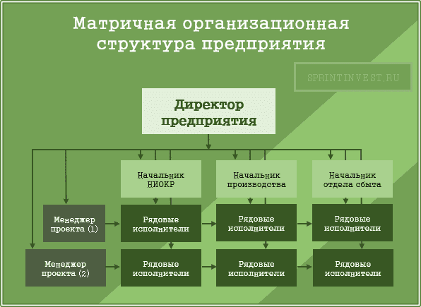 Матричная организационная структура предприятия