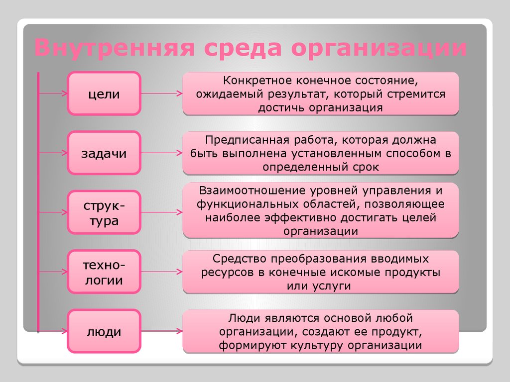 Составьте схему внутренней среды организации