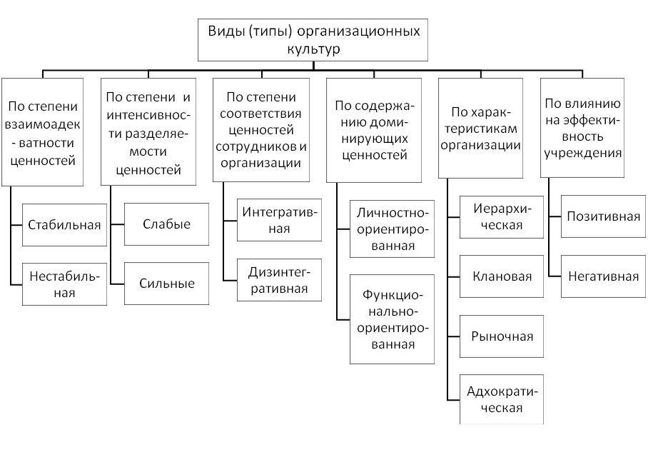План формы разновидности культуры