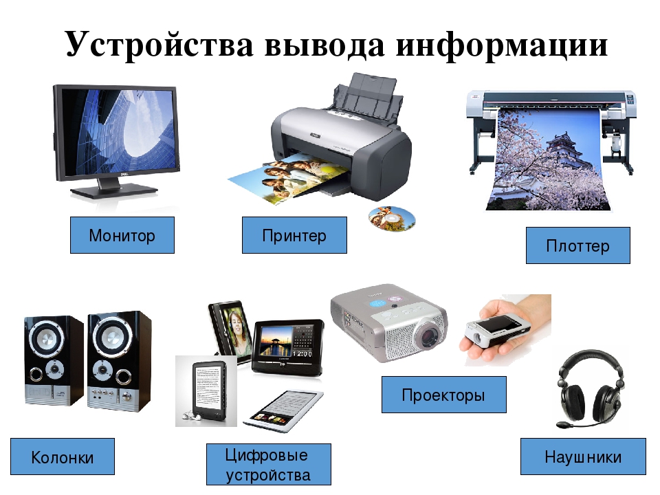 Устройства вывода презентация