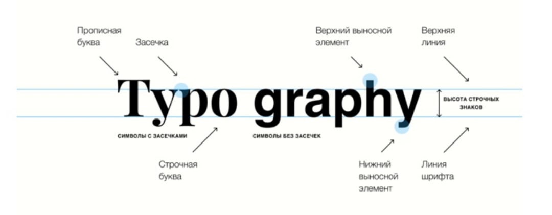 Верхние и нижние шрифты. Анатомия шрифта. Термины в типографике. Анатомия шрифта и элементы. Шрифты в типографике.
