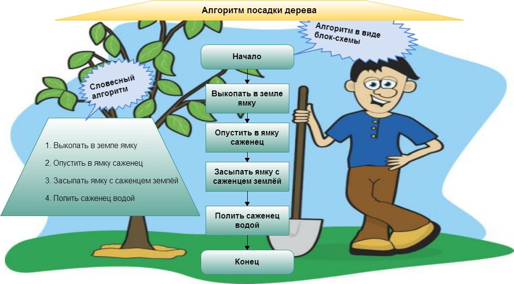 3 примера. Алгоритм. Примеры алгоритмов. Алго. Алгоритмы в повседневной жизни