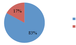 Спа отель как пишется 1